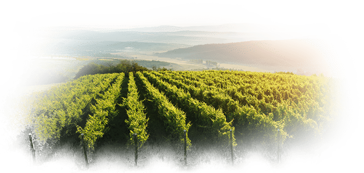 Comment optimiser le financement des différents secteurs ? Comment optimiser le financement des différents secteurs ?