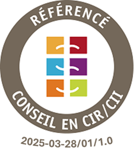 referencement conseil cir cii istrium
